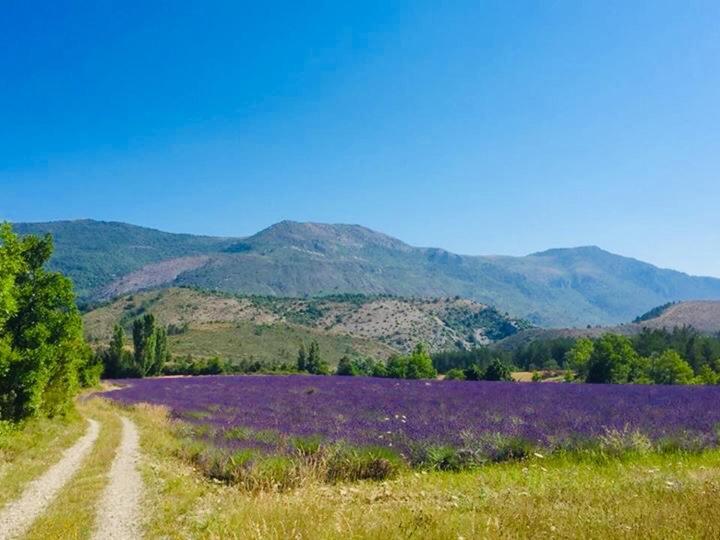 Le Moulin De La Viorne, Gite Avec Piscine Au Coeur De La Nature En Haute-Provence Les Omergues Экстерьер фото