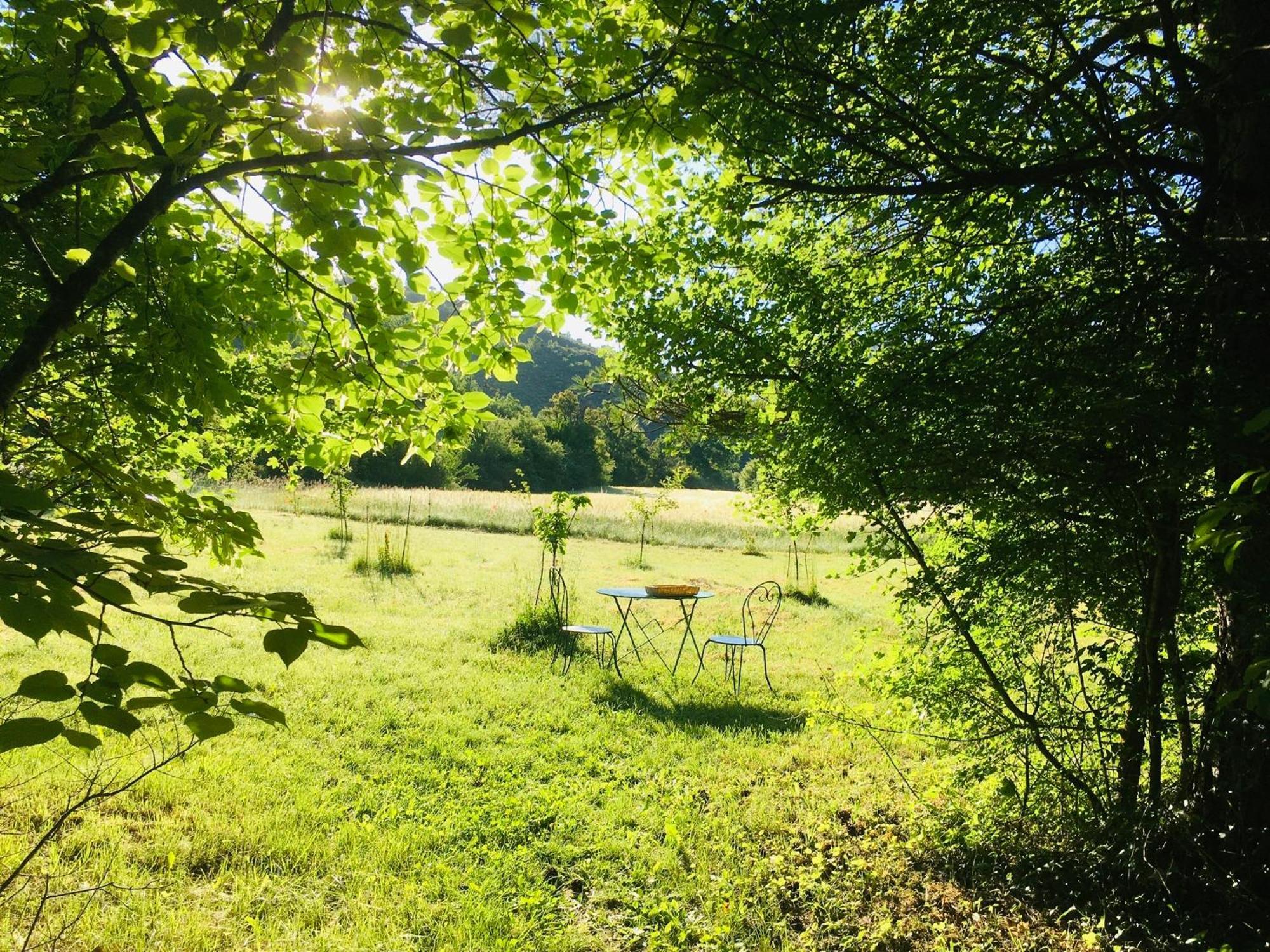 Le Moulin De La Viorne, Gite Avec Piscine Au Coeur De La Nature En Haute-Provence Les Omergues Экстерьер фото