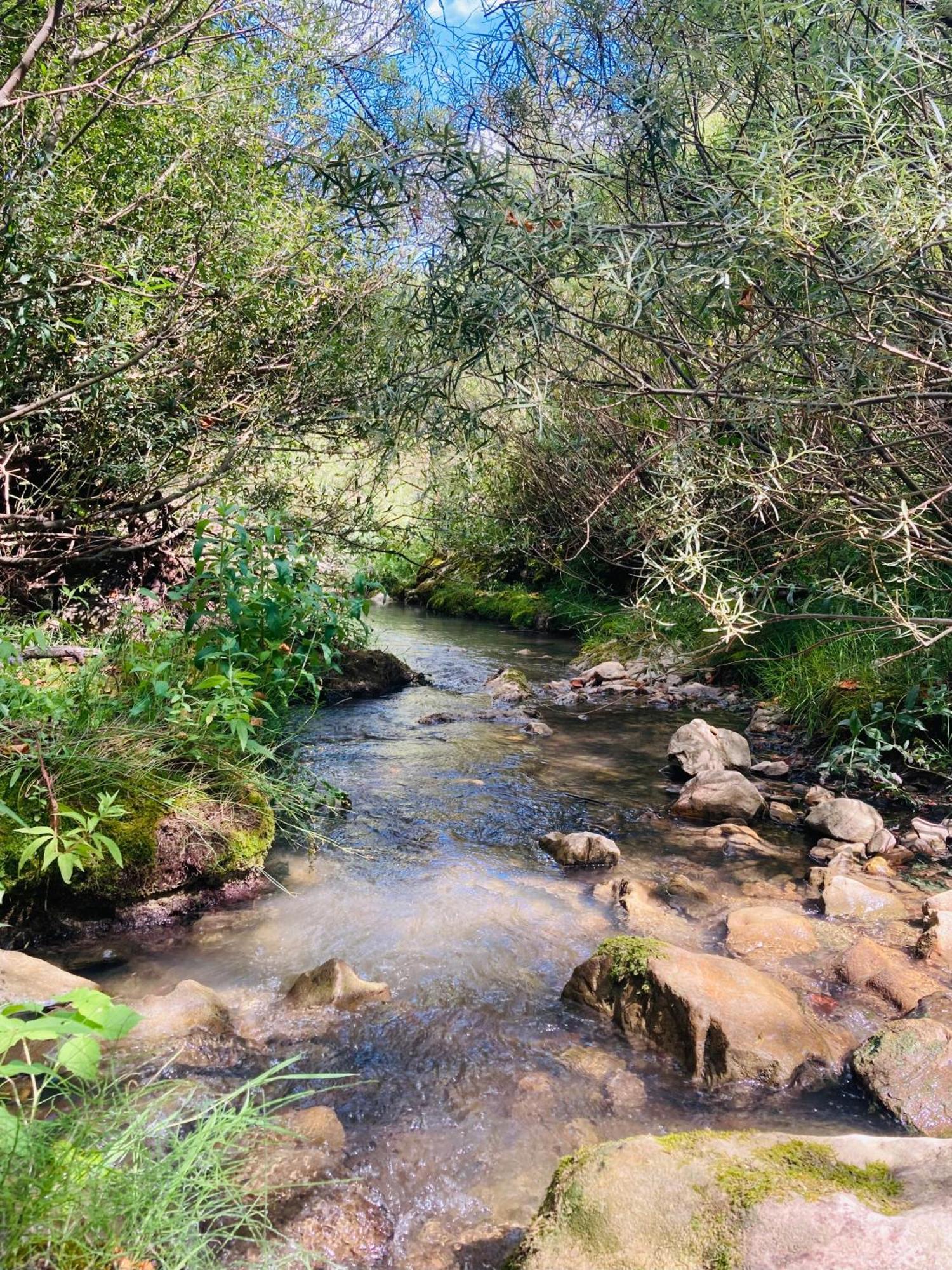 Le Moulin De La Viorne, Gite Avec Piscine Au Coeur De La Nature En Haute-Provence Les Omergues Экстерьер фото